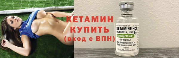 индика Бикин