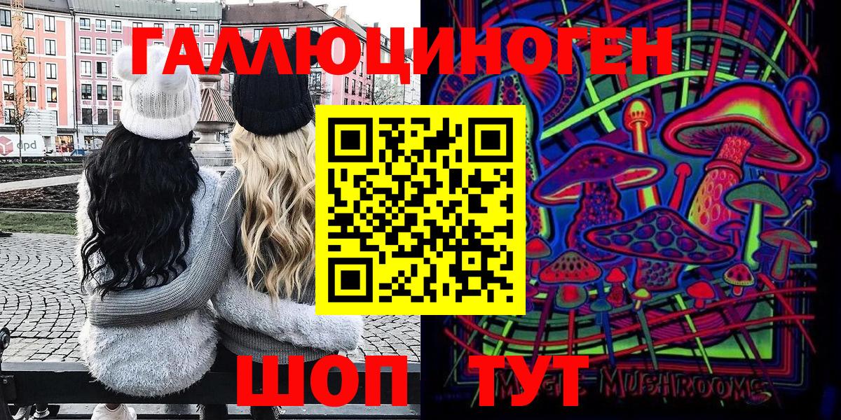 Псилоцибиновые грибы мицелий Чита