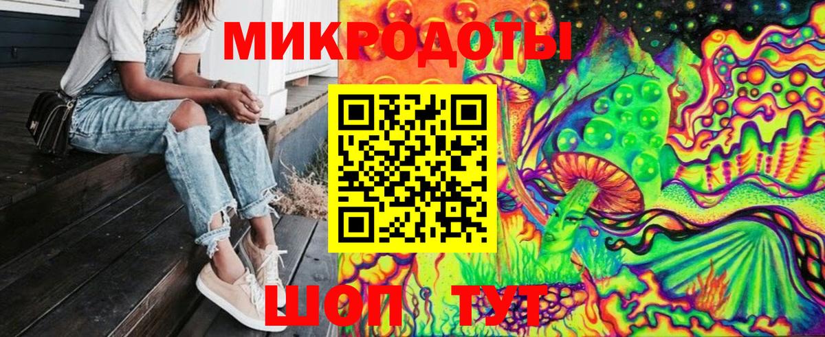 Галлюциногенные грибы Psilocybe  Чита 