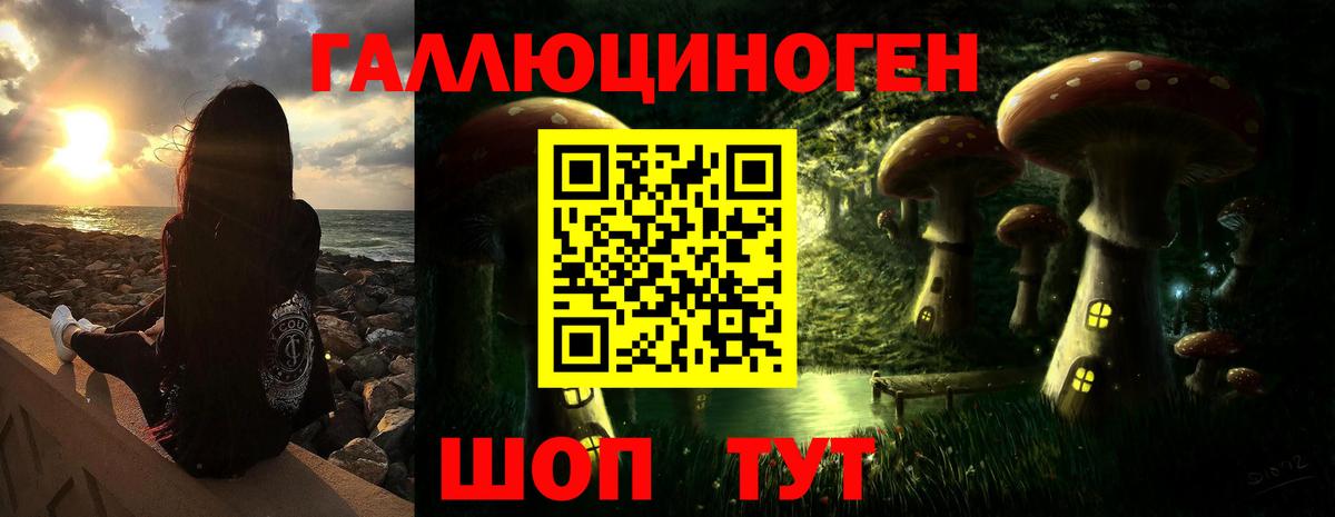 Чита  Галлюциногенные грибы Psilocybine cubensis  Вход с VPN 