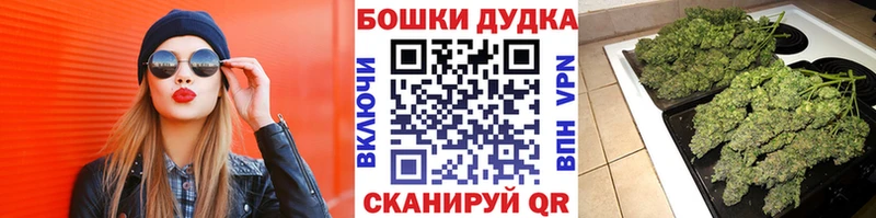 Конопля марихуана  Чита 